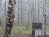 s-090501¡Á09¡¡¤Ý¤Æ¡¼¤ì»³Áñ 172