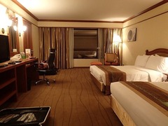 s-P4130006