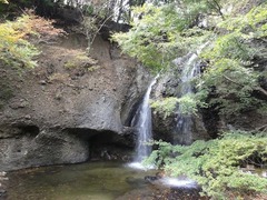 s-DSC08820