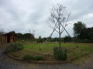s-P1090821