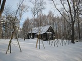 78f1e833.jpg