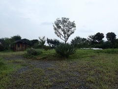 s-P9060234