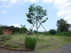 s-P1130386