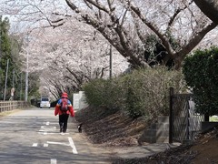 s-DSC03172