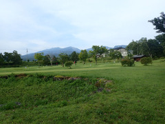 sP8110167