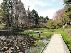 s-DSC03351