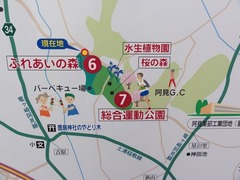 s-DSC03365