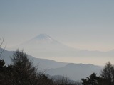 s-081203¡Á4¡¡È¬¥ö³Ù¤Îι 007