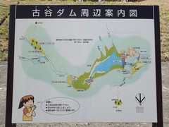 s-P5070107