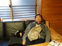 s-DSC03367