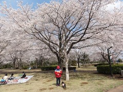 s-DSC03342