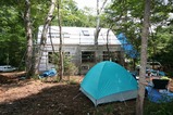 d017569f.jpg