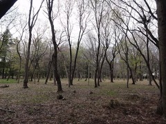 s-DSC03357