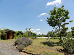 s-DSC04069