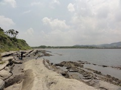 s-DSC04470