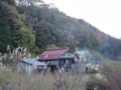 s-DSC08339