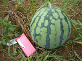 s20100905(3)