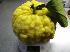 sDSC09251