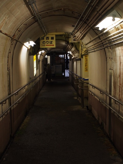 P3265935s