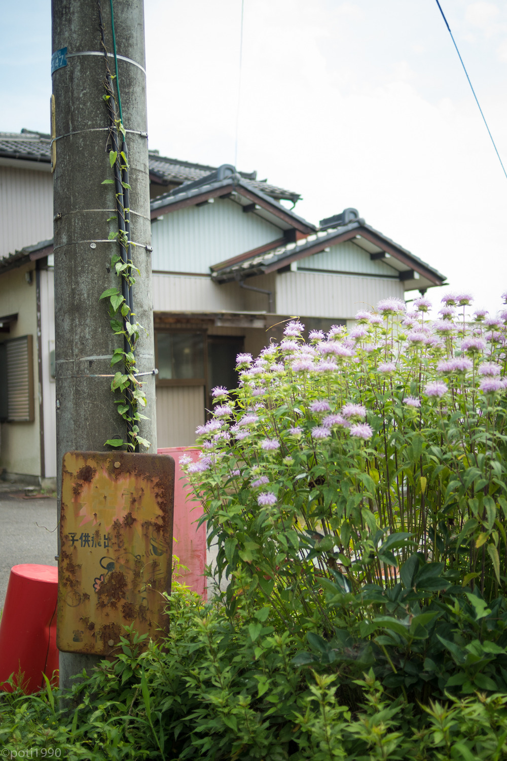 P7030033★