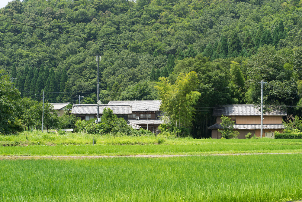 DSC06629