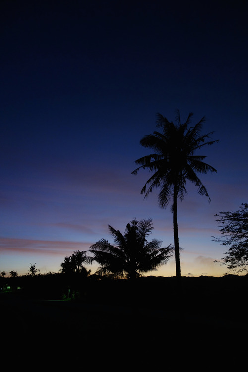 DSC00752