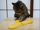 ありがとうソックス