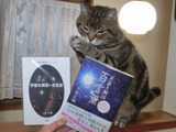 C9316A8F-967C-46EE-9FED-9DD1D3B45ACD