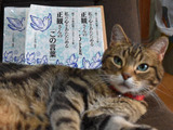 私の心をあたためる正観さんの「この言葉」