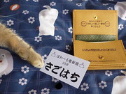 友を呼ぶ名刺入れ