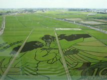 DSC01724