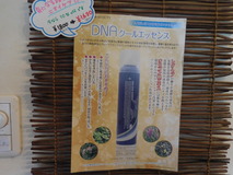 DSCN4281