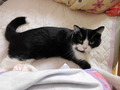 DSCN0075