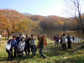 DSCN0117