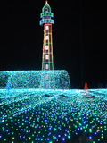 DSC01776