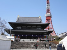 CIMG4781