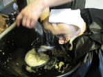 IMG_5713