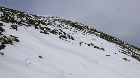 P1010963