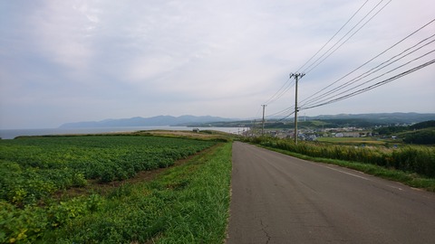 DSC_2006