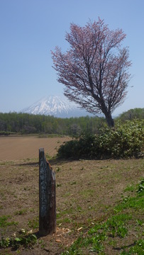 P1030674