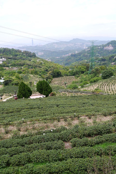 P1030772