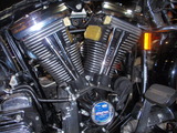 PB241846