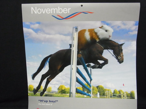 これぞモルリンピック!英国発「Guinea Pig Games」カレンダー2013が届きました