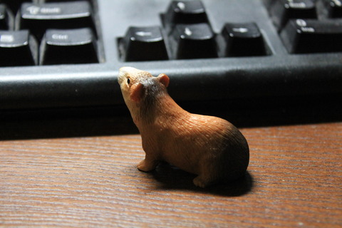 モルモットもあった!ドイツのおもちゃブランド「Schleich(シュライヒ)」の動物フィギュア