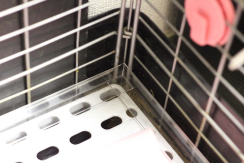 飼育ケージの内装をDIY!ホームセンターで買ったアレでうんPガードを作る