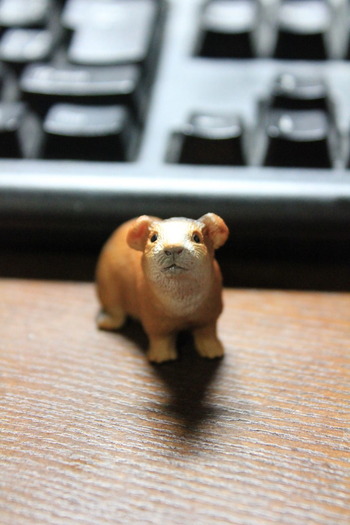 モルモットもあった!ドイツのおもちゃブランド「Schleich(シュライヒ)」の動物フィギュア