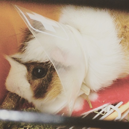 写真 2015-06-14 0 24 17