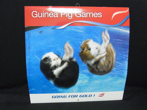 これぞモルリンピック!英国発「Guinea Pig Games」カレンダー2013が届きました