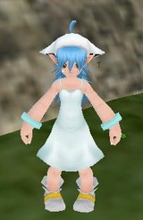 イカ1