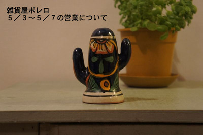 カクタス